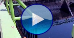 mb_vid